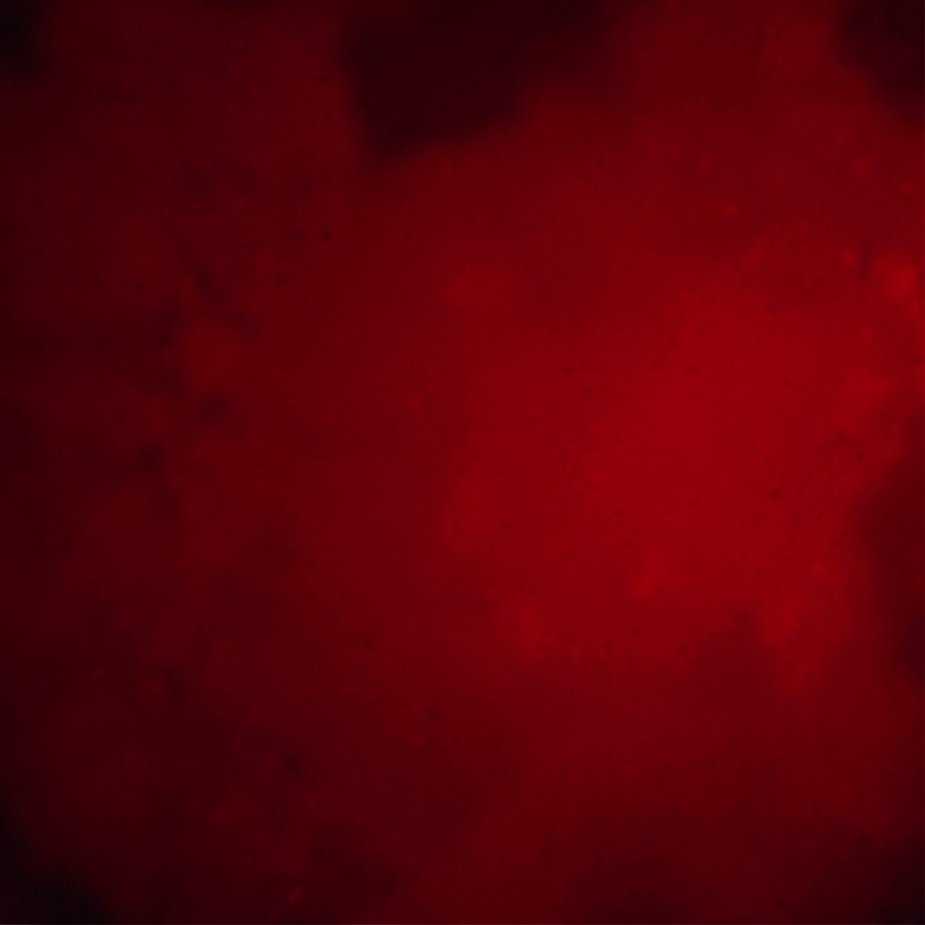 A duotone photograph in warm coral and deep navy showing a video playback screen with abstract color waveforms, suggesting a media gallery.